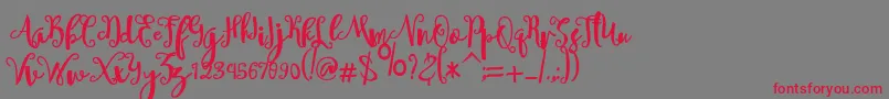 sheyna Font – Red Fonts on Gray Background