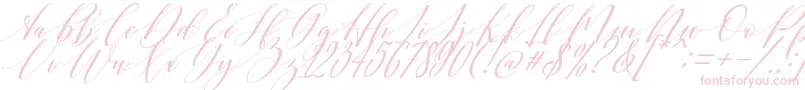 Shington-Schriftart – Rosa Schriften auf weißem Hintergrund