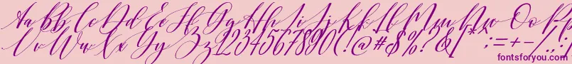 Shington Font – Purple Fonts on Pink Background