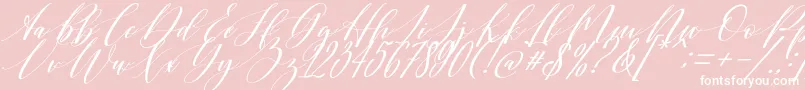 Shington-Schriftart – Weiße Schriften auf rosa Hintergrund