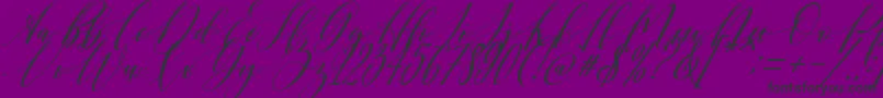 Shington-Schriftart – Schwarze Schriften auf violettem Hintergrund