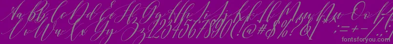 Shington-Schriftart – Graue Schriften auf violettem Hintergrund