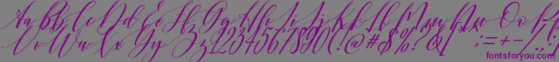 Shington-Schriftart – Violette Schriften auf grauem Hintergrund