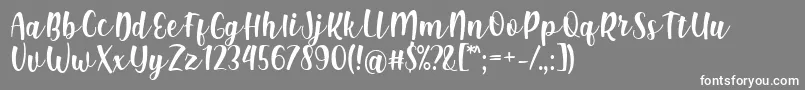 Шрифт Shink Font by Rifki 7NTypes – белые шрифты на сером фоне