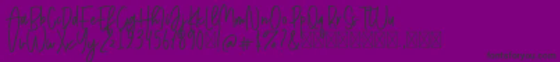 ShinthinkFree Font – Black Fonts on Purple Background