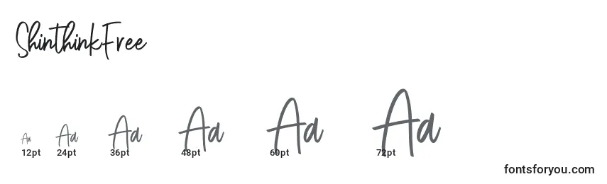 ShinthinkFree Font Sizes