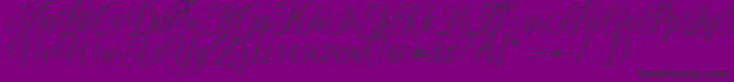 Shintosa Font – Black Fonts on Purple Background