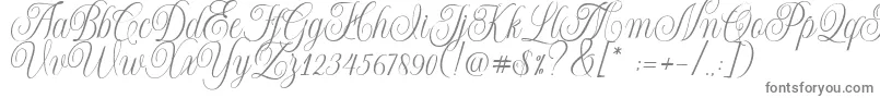 Шрифт Shintosa – серые шрифты на белом фоне