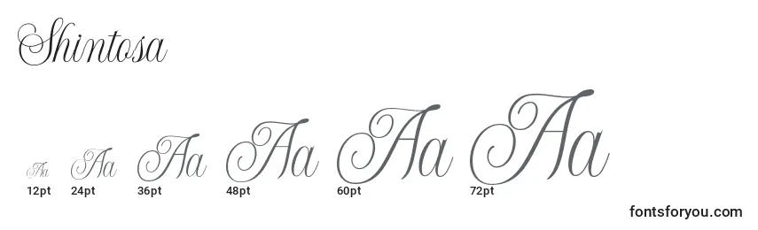 Shintosa Font Sizes