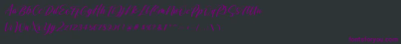 Shintyan Font – Purple Fonts on Black Background