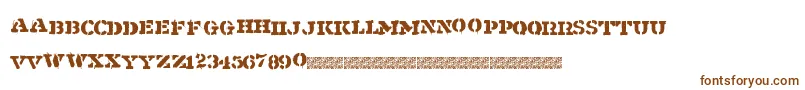 Shipment Font – Brown Fonts on White Background