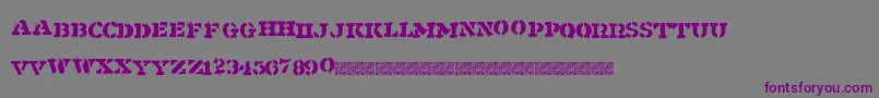 Shipment Font – Purple Fonts on Gray Background
