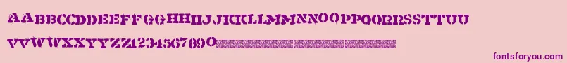Shipment Font – Purple Fonts on Pink Background