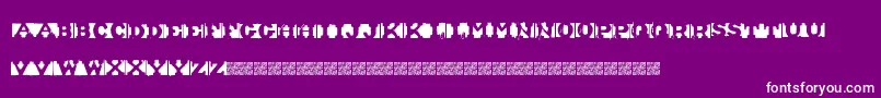 ShipmentInverted Font – White Fonts on Purple Background
