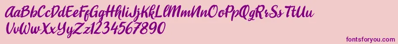 shitoberry ithalic-Schriftart – Violette Schriften auf rosa Hintergrund