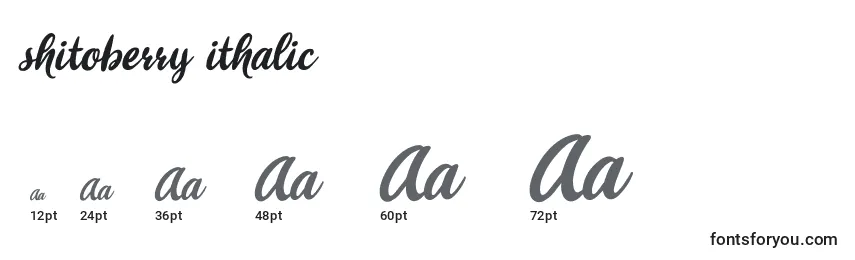 Shitoberry ithalic Font Sizes