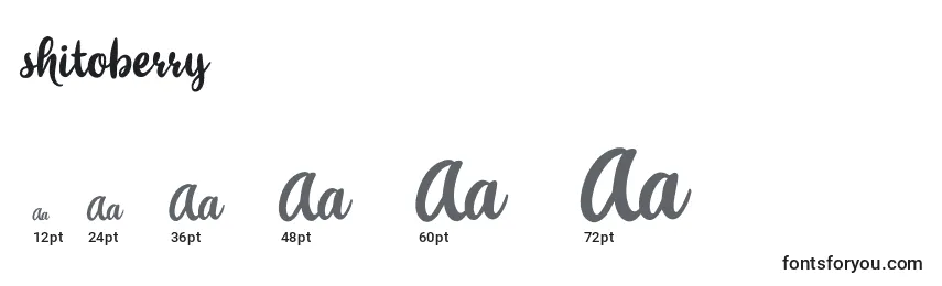 Shitoberry Font Sizes