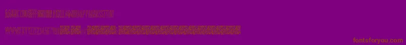 ShockColours Font – Brown Fonts on Purple Background