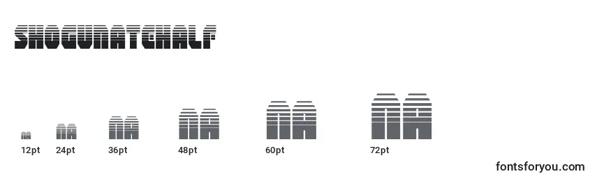 Размеры шрифта Shogunatehalf