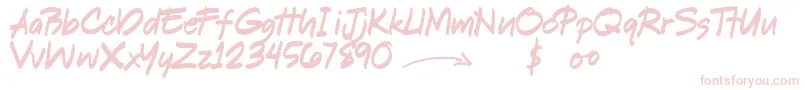 ShookenDemo Font – Pink Fonts on White Background