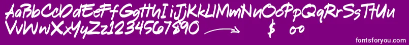 ShookenDemo Font – White Fonts on Purple Background