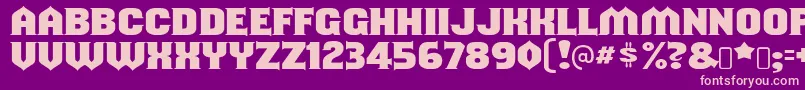 shouldve known Font – Pink Fonts on Purple Background