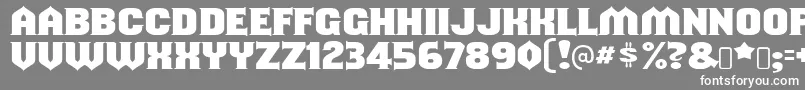 フォントshouldve known – 灰色の背景に白い文字