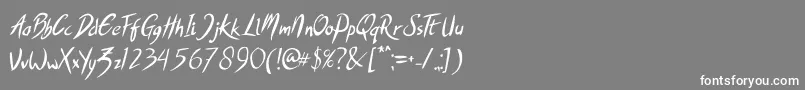 SHOWBAD Font – White Fonts on Gray Background