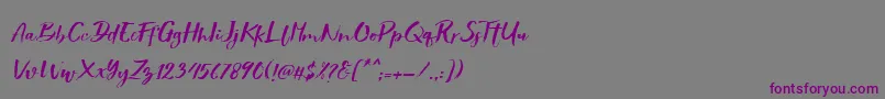 Showety Brush Slant Font – Purple Fonts on Gray Background