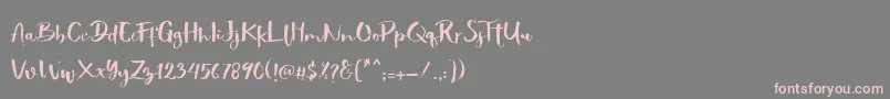 フォントShowety Brush – 灰色の背景にピンクのフォント