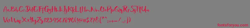 フォントShowety Brush – 赤い文字の灰色の背景