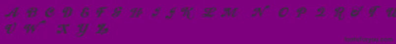 Showmen Font – Black Fonts on Purple Background