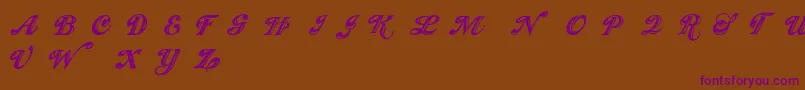 Showmen Font – Purple Fonts on Brown Background