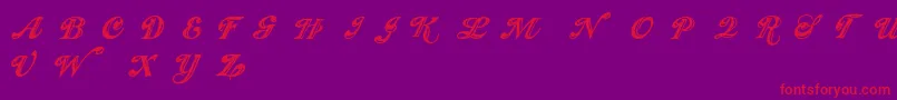 Showmen Font – Red Fonts on Purple Background