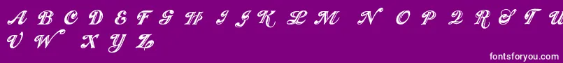 Showmen-Schriftart – Weiße Schriften auf violettem Hintergrund