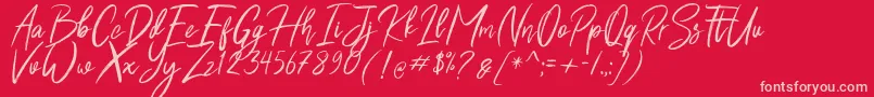 Shutten Reason Free Font – Pink Fonts on Red Background