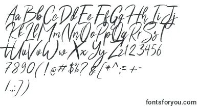 Shutten Reason Free font – stretched Fonts