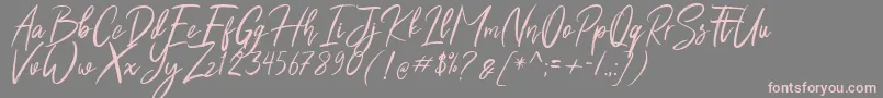 フォントShutten Reason Free – 灰色の背景にピンクのフォント