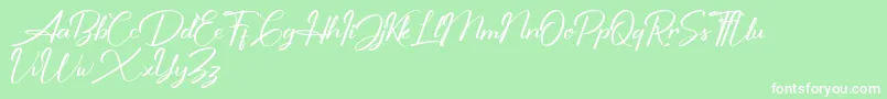 Shutter Braille Personal Use Only Font – White Fonts on Green Background
