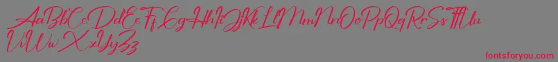 Shutter Braille Personal Use Only-Schriftart – Rote Schriften auf grauem Hintergrund