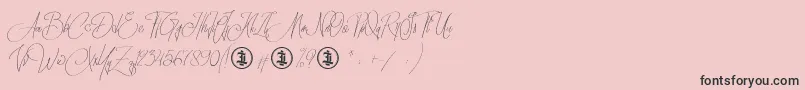 Sidoraby Personal Use Only Font – Black Fonts on Pink Background
