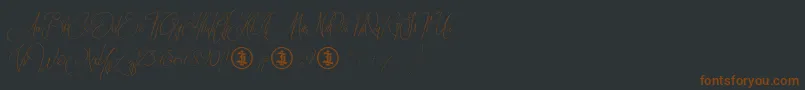 Sidoraby Personal Use Only Font – Brown Fonts on Black Background