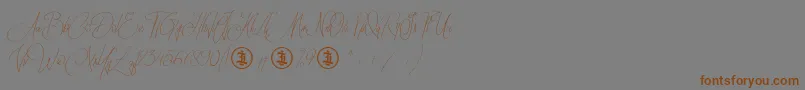Sidoraby Personal Use Only Font – Brown Fonts on Gray Background