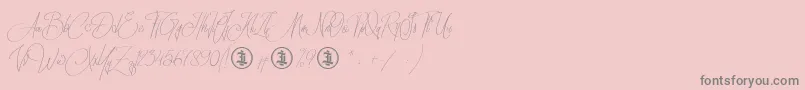 Sidoraby Personal Use Only Font – Gray Fonts on Pink Background