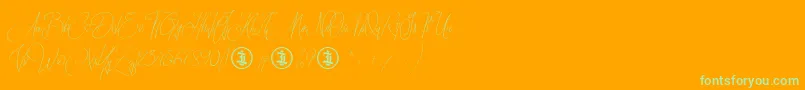 Sidoraby Personal Use Only Font – Green Fonts on Orange Background