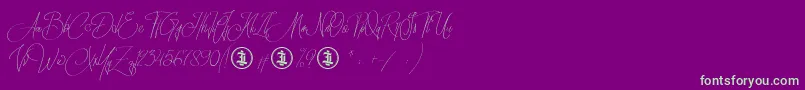 Sidoraby Personal Use Only-Schriftart – Grüne Schriften auf violettem Hintergrund