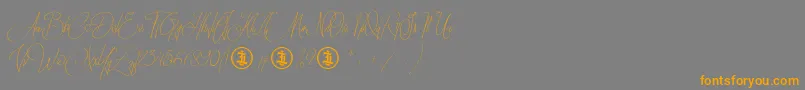 Sidoraby Personal Use Only Font – Orange Fonts on Gray Background