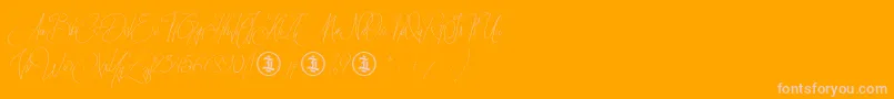 Sidoraby Personal Use Only Font – Pink Fonts on Orange Background