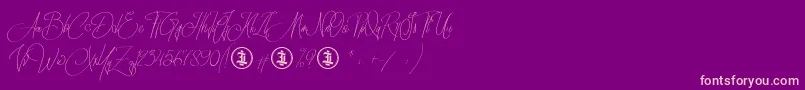 Sidoraby Personal Use Only Font – Pink Fonts on Purple Background