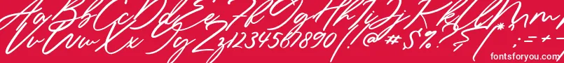 Sieroty-Schriftart – Weiße Schriften auf rotem Hintergrund